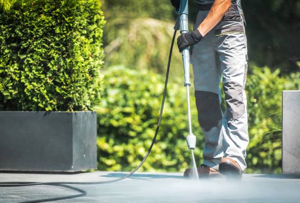 Best Animal Enclosure Cleaning  in Palm Springs, FL