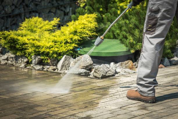 Best Dumpster Area Cleaning  in Palm Springs, FL